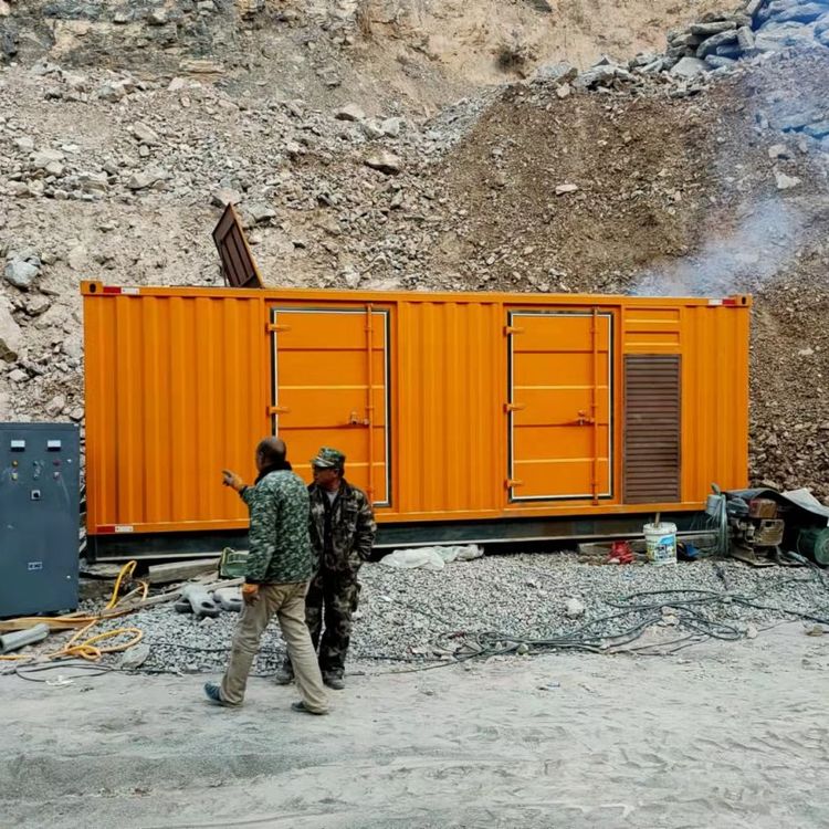 安岳如何选择适合自己的 800KW 柴油发电机组？